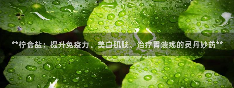 威九国际网站人入口