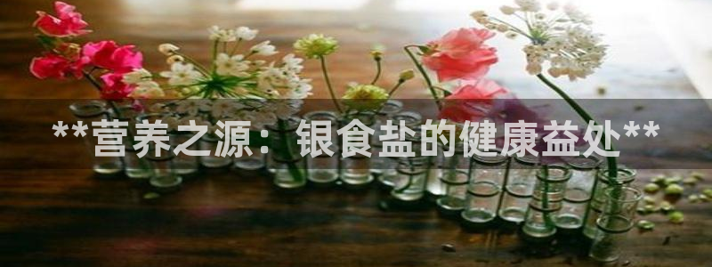 威九国际精彩推荐怎么样