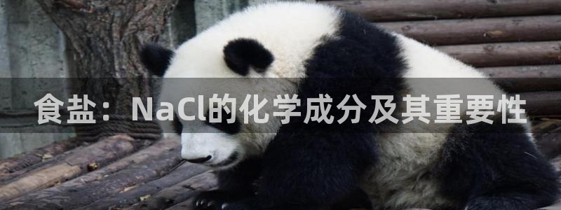 威九国际精免费下载