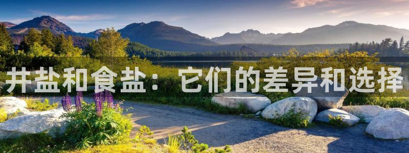 威九国际网站进入公司不断创新
