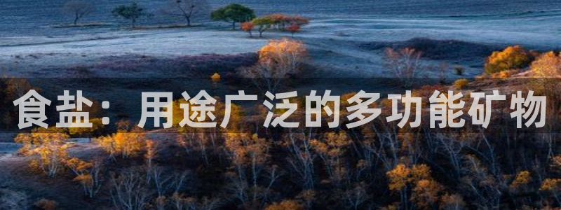 威九国际78mapp官网版下载