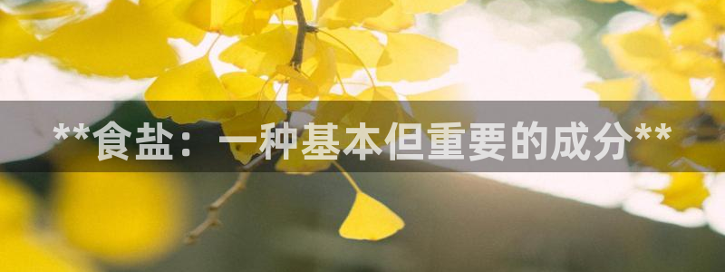 威九国际官方网站