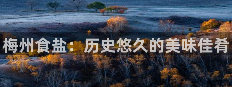 威九国际78m78