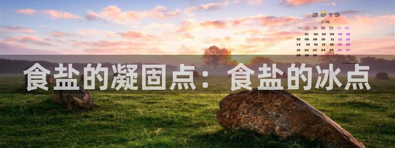 威九国际v18