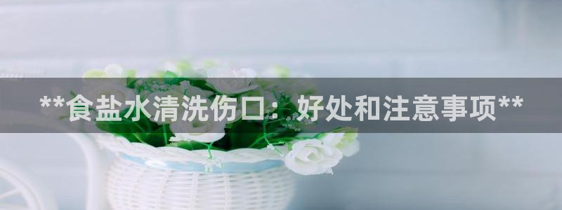 威九国际空降