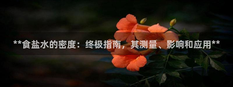 威九国际安全吗的认证团队