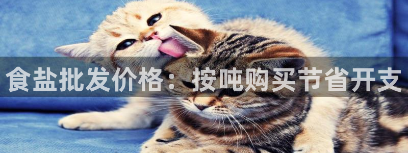78mapp威九国际网页版