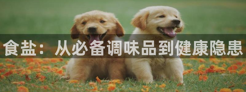 78mapp威九国际媒体