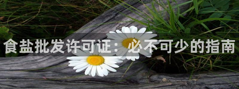威九国际v18