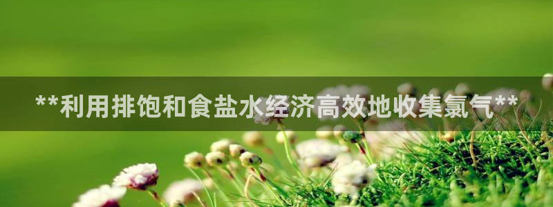 威九国际78m-MBA智库百科