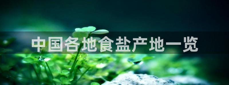 威九国际在哪里