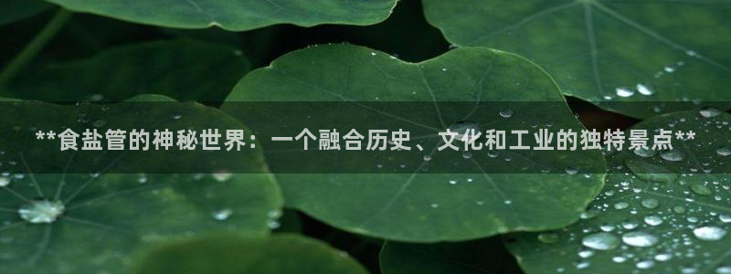保定威九网络科技有限公司
