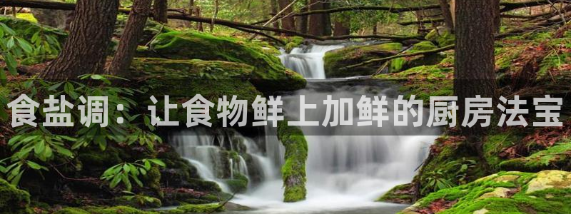 威九国际v9
