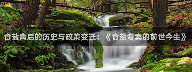 威九国际app入口官网