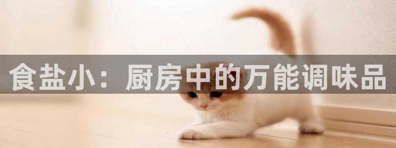 威九国际app下载