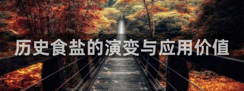 威九国际可以赚到钱