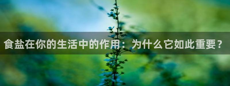 威九国际免费
