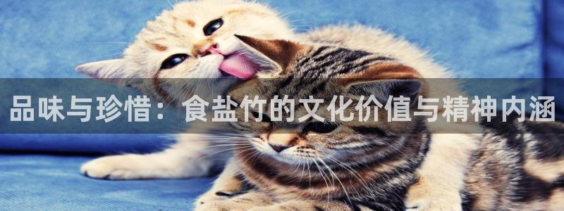 威九国际国精彩片段