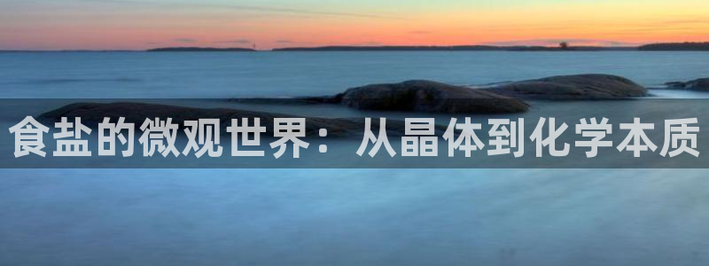 威九国际体育