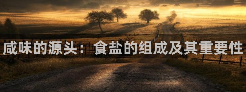 威九国际能提现吗