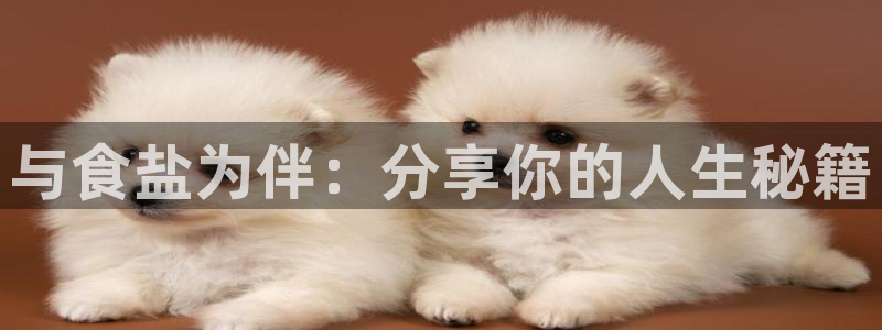 威九国际网站游戏