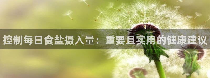 威九国际软件公司简介