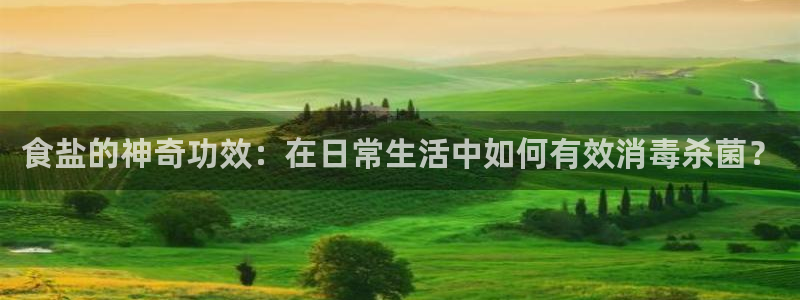 威九国际网站经常打不开网页