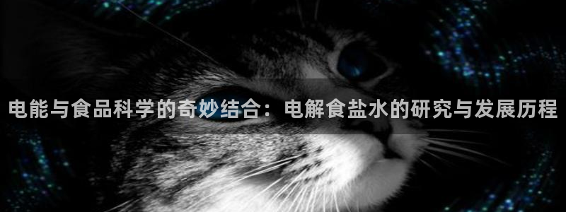 威九国际EVA