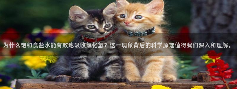 威九国际留学