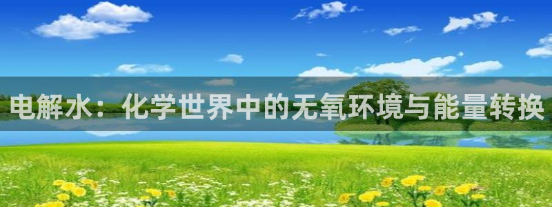 威九国际视频传媒招聘