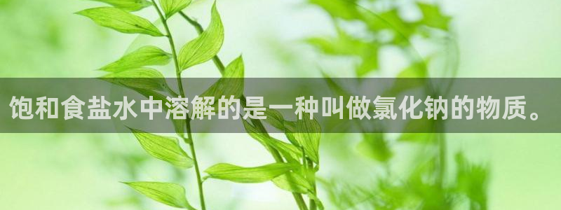 威九国际78m光伏巨头隆基绿能esg成色