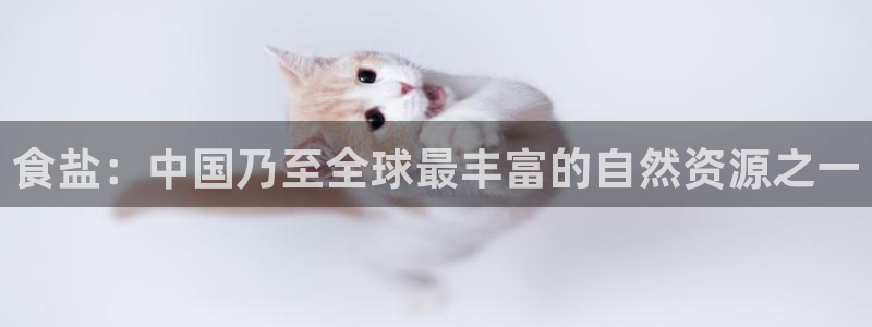 威九国际海域