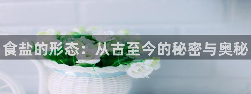 威九国际78mB官网版