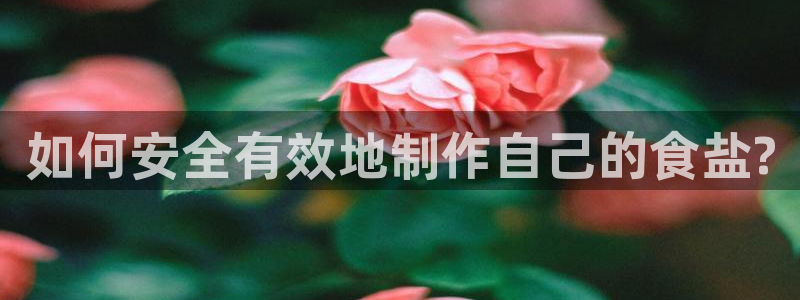 威九国际网站链接怎么打开
