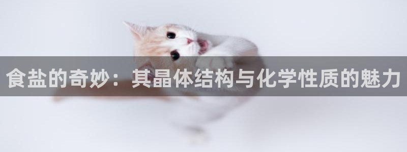 威九国际78mob游戏说明
