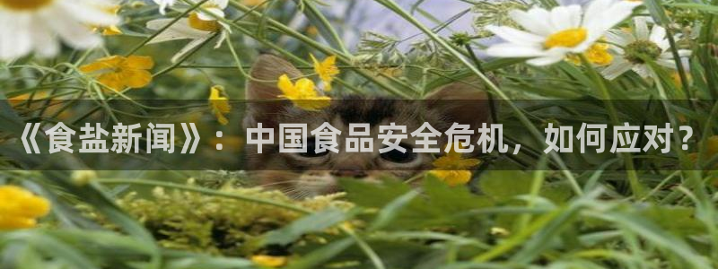 威九国际哪国的