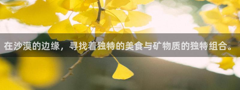 威九国际78免下载