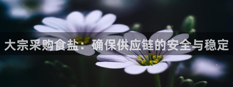 威九国际网站传媒