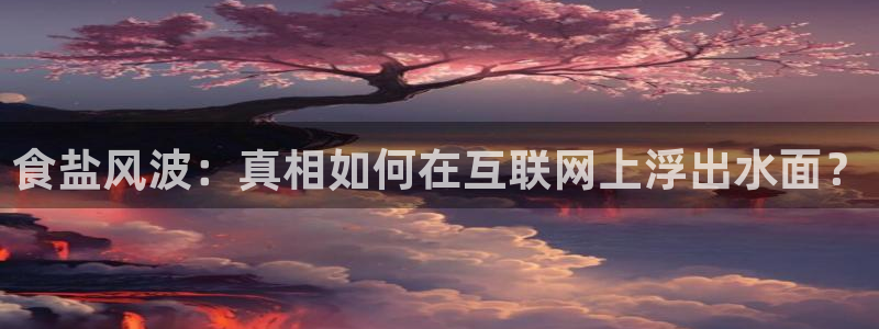 78mapp威九国际媒体：食盐风波：真相如何在互联网上浮出水