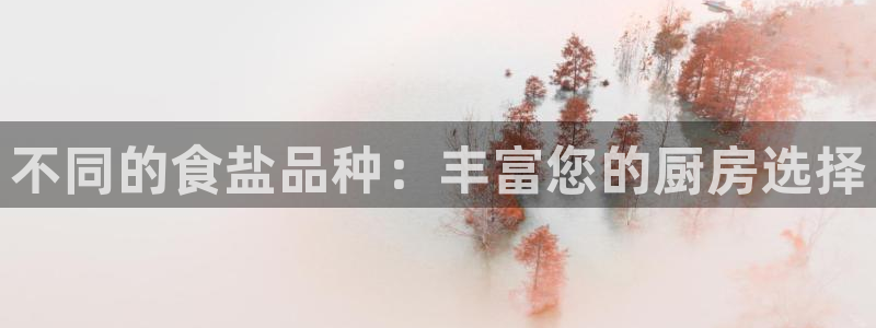 威九国际网站经常打不开怎么办
