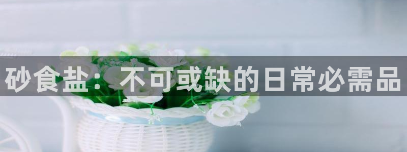 威九国际66视频