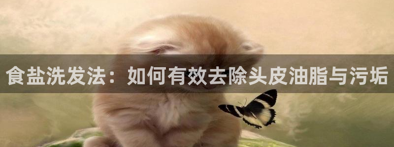 威九国际网站更新