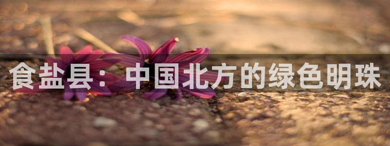 威九国际78mb官网版