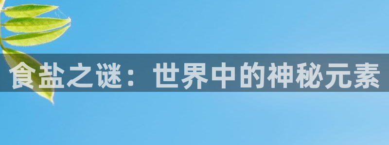 威九国际可以退钱吗怎么退