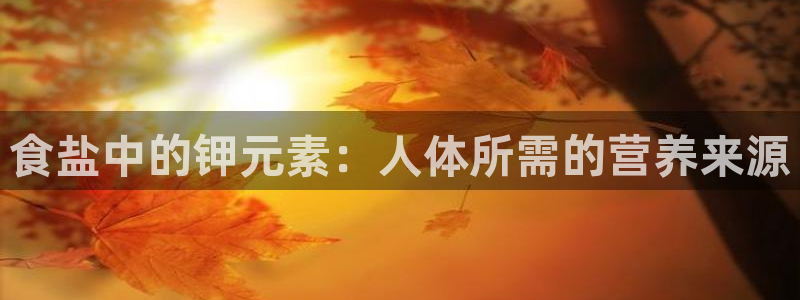 威九国际视频传媒招聘