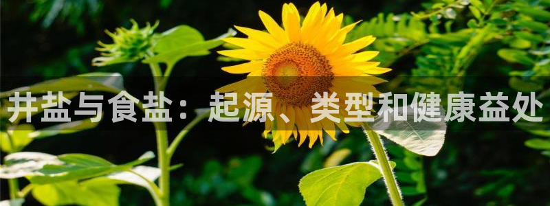 威九国际APP下载