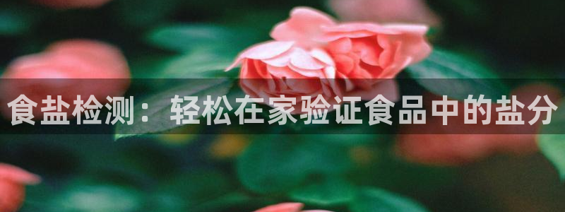 威九国际v96BET