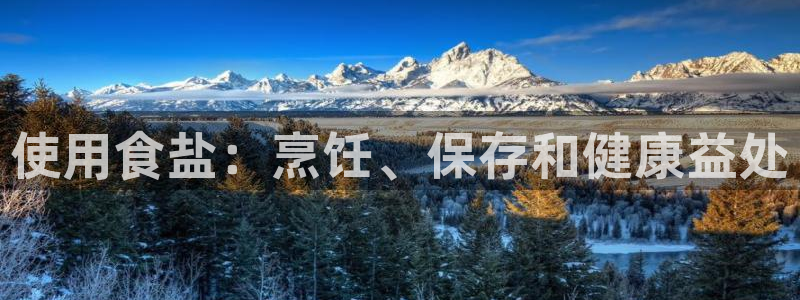 威九国际如何下载