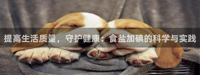 威九国际ppt免费吗