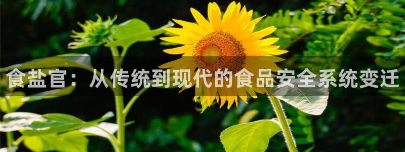 威九国际Info